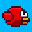 Chubby Birds
